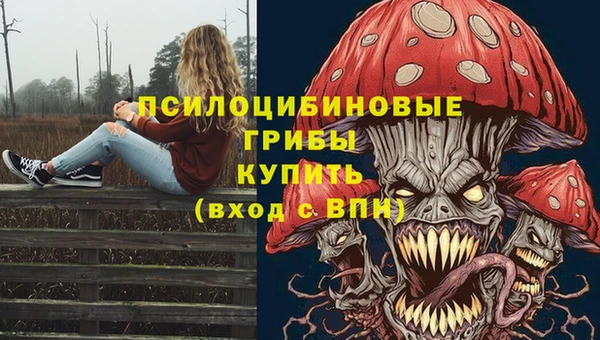 тгк Переславль-Залесский