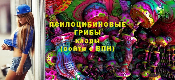 не бодяженный Пересвет