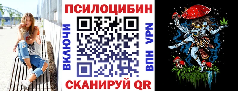 купить наркотик  Усть-Кут  Галлюциногенные грибы Psilocybine cubensis 