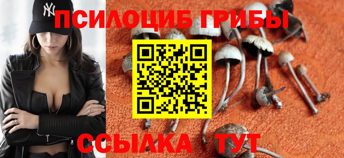 наркота  Псилоцибиновые грибы прущие грибы  Вход с VPN  Усть-Кут 