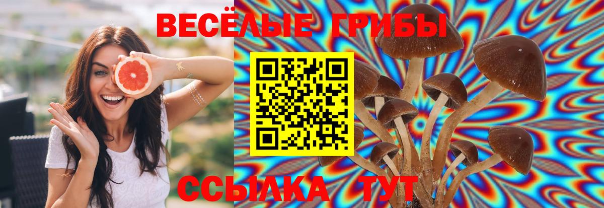 Псилоцибиновые грибы ЛСД Усть-Кут