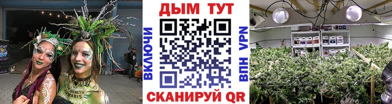 МАРИХУАНА SATIVA & INDICA  купить закладку  Усть-Кут 